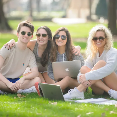 Students studying on the quad